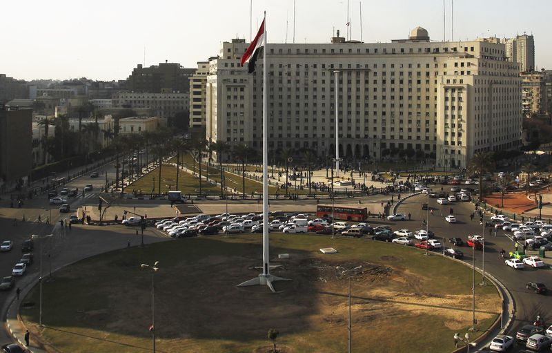 © Reuters. مصر تأمل أن يسهم علم التحرير في توحيد الصفوف