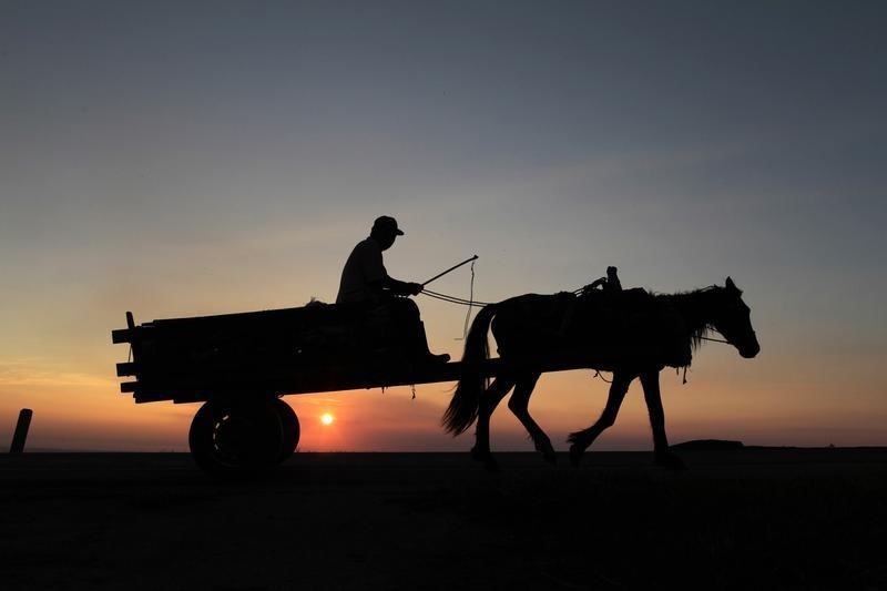 © Reuters. Homem anda de charrete nos arredores de Manágua