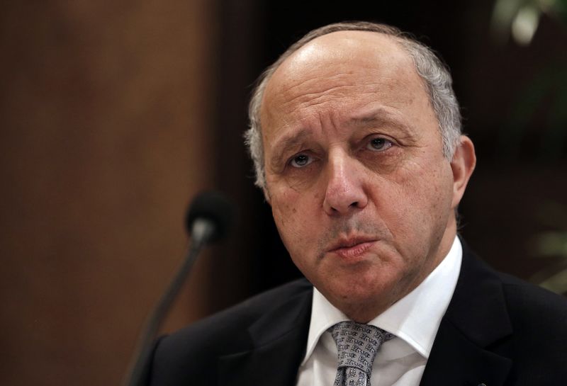 © Reuters. French Foreign Minister Fabius addresses the media during the 15th Delhi Sustainable Development Summit in New Delhi