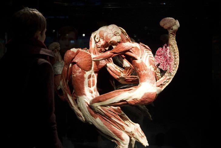 © Reuters. Exposição  "Body Worlds" permanente no museu Menschen, em Berlim