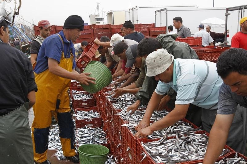 © Reuters. وزير: صعود صادرات الصيد البحري 7% إلى 15.5 مليار درهم في 2014