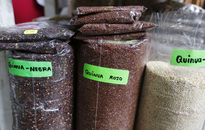 © Reuters. استراليا وأمريكا تتسابقان على انتاج محصول الكينوا المربح