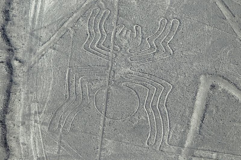 © Reuters. Foto aérea de um dos desenhos das Linhas de Nazca, no deserto peruano