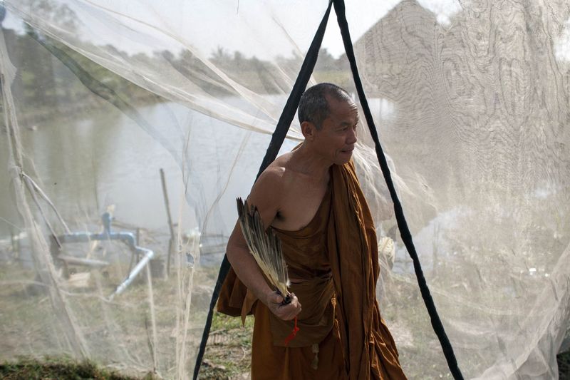 © Reuters. Phra Buddha Issara walks inside his garden during an interview with Reuters at Wat Or Noi in Nakhon Pathom