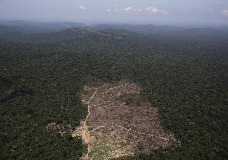 © Reuters. Vista aérea de desmatamento na Amazônia perto da cidade de Novo Progresso, no Pará