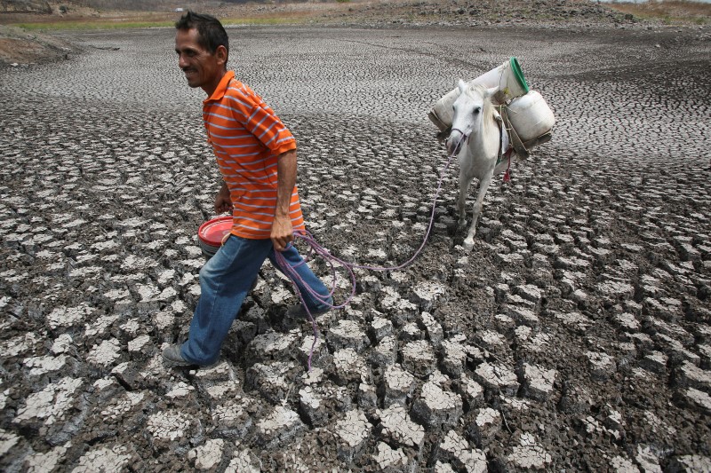 © Reuters. Agencia de EEUU eleva la probabilidad de que El Niño se forme durante el verano 