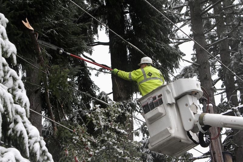 © Reuters. A lineman for Puget Sound Energy cuts tree branches and removes them from a power line, after they knocked out power to a neighborhood near Renton, Washington
