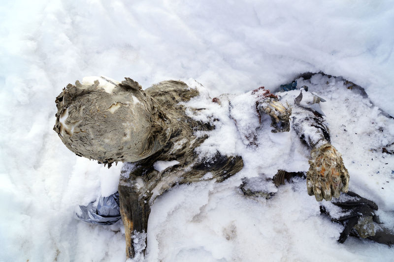 © Reuters. Preparan el rescate de dos cuerpos momificados hallados en un volcán de México