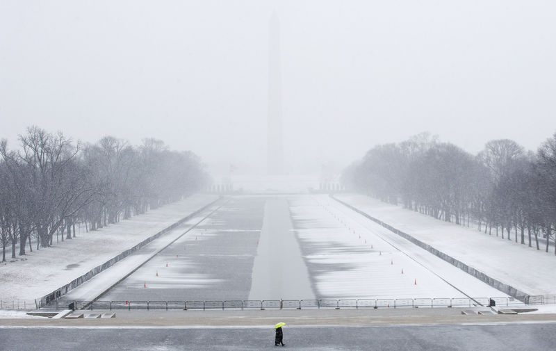 © Reuters. Um único turista em Washington perto do Lincoln Memorial durante tempestade de inverno 