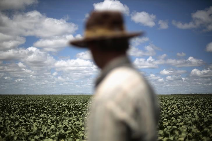 © Reuters. Fazendeiro observa plantação de soja 