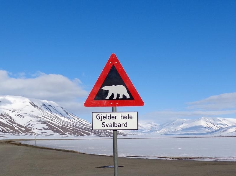 © Reuters. Placa alerta sobre presença de ursos na ilha de Svalbard, na Noruega