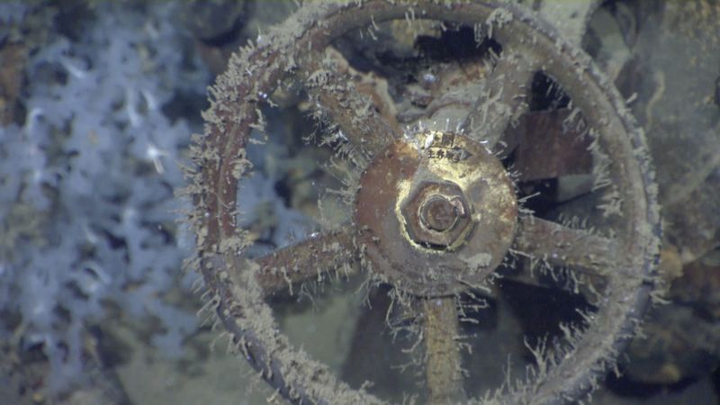 © Reuters. A wheel on a valve from a lower engineering area on the sunken Japanese warship Musashi seen in handout image from Paul Allen