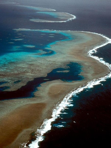 © Reuters. استراليا تكشف عن خطط لحماية الحيد المرجاني العظيم