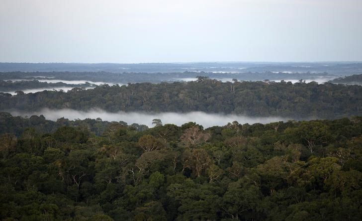 © Reuters. Visão da Floresta Amazônica em São Sebastião do Uatuma