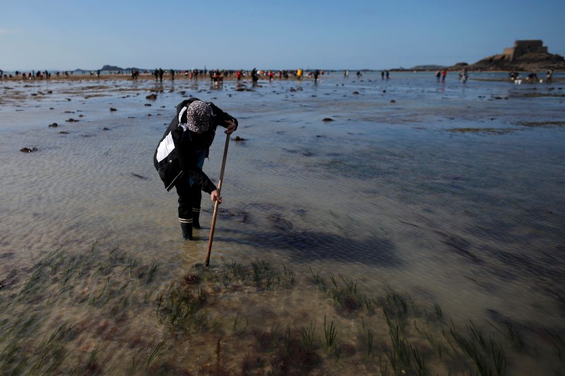 © Reuters. GRANDES MARÉES SUR LE LITTORAL ATLANTIQUE