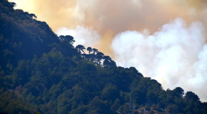 © Reuters. Chile pide ayuda a Argentina, Brasil y Uruguay para combatir incendios forestales