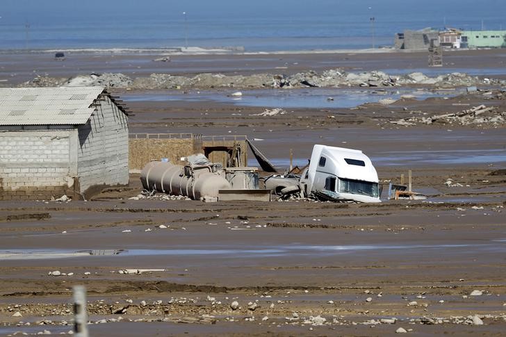© Reuters. خبير أرصاد:الامطار الغزيرة بصحراء في تشيلي مؤشر على تغير المناخ
