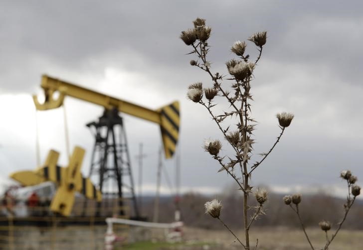 © Reuters. Plants are pictured near an oil pump, owned by oil company Rosneft, in Krasnodar region