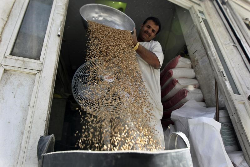 © Reuters. السعودية تطرح مناقصة لشراء 715 ألف طن من القمح الصلد