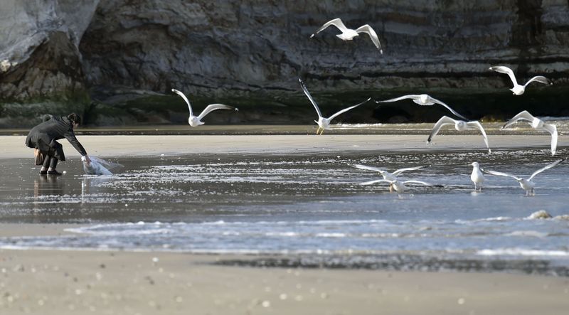 © Reuters. Mulher lança buquê de flor em mar na região do Japão