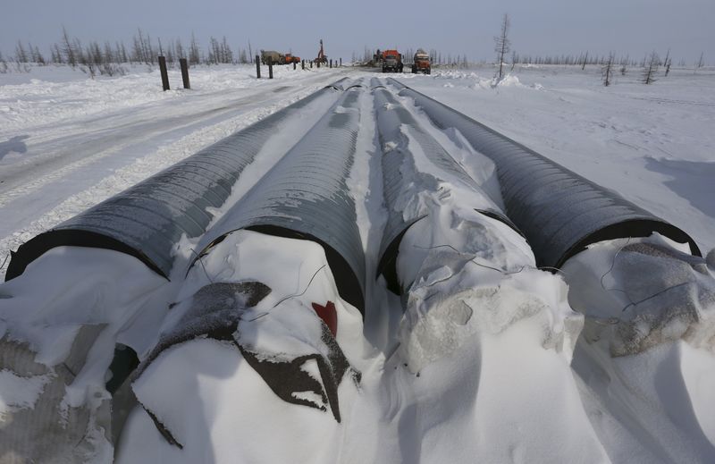 © Reuters. Pipelines to be laid to transport oil to Vankor are seen at the Rosneft company owned Suzunskoye oil field, north from the Russian Siberian city of Krasnoyarsk