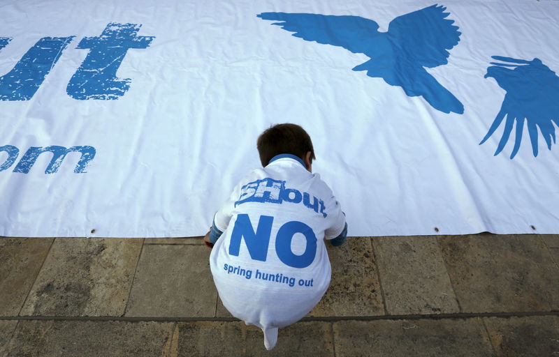 © Reuters. صيادو مالطا يفوزون في استفتاء حول صيد الطيور المهاجرة خلال فصل الربيع