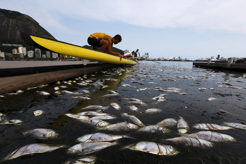 © Reuters. Retiran 32 toneladas de peces muertos de la sede olímpica de remo en Río