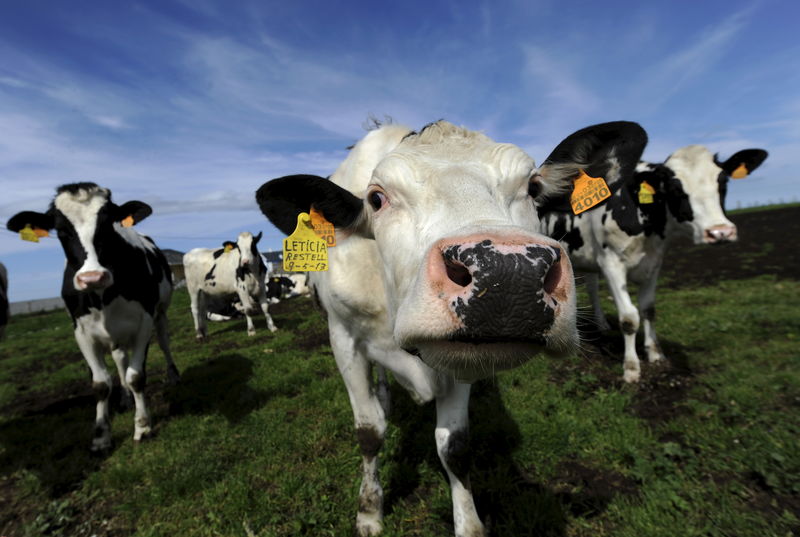 © Reuters. La leche materna a la venta en internet contiene leche de vaca