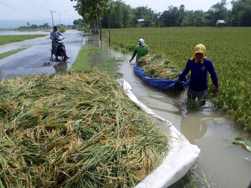 © Reuters. Tuitear sobre inundaciones ayuda a crear mapas que podrían salvar vidas