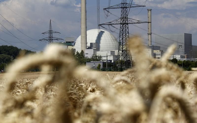 © Reuters. Stalks of wheat grow in a field next to the EnBW nuclear power plant in Phillipsburg