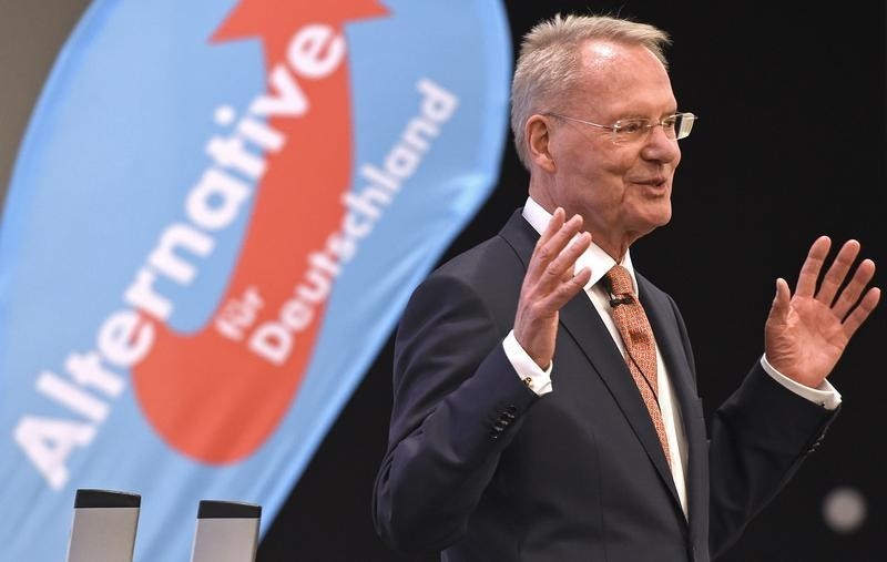 © Reuters. Henkel, member of the European Parliament of German anti-euro party "The Alternative fuer Deutschland" delivers his speech at an election campaign in Hamburg