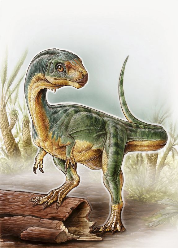 © Reuters. University of Birmingham handout illustration shows an artist's depiction of the Chilesaurus diegosuarezi