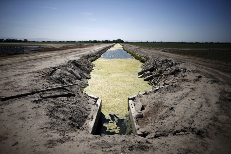 © Reuters. Canal seco em fazenda em Los Banos, na Califórnia