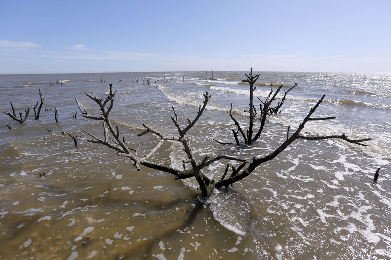 © Reuters. BP gana el derecho a apelar ciertos reclamos por daños en derrame Golfo de México