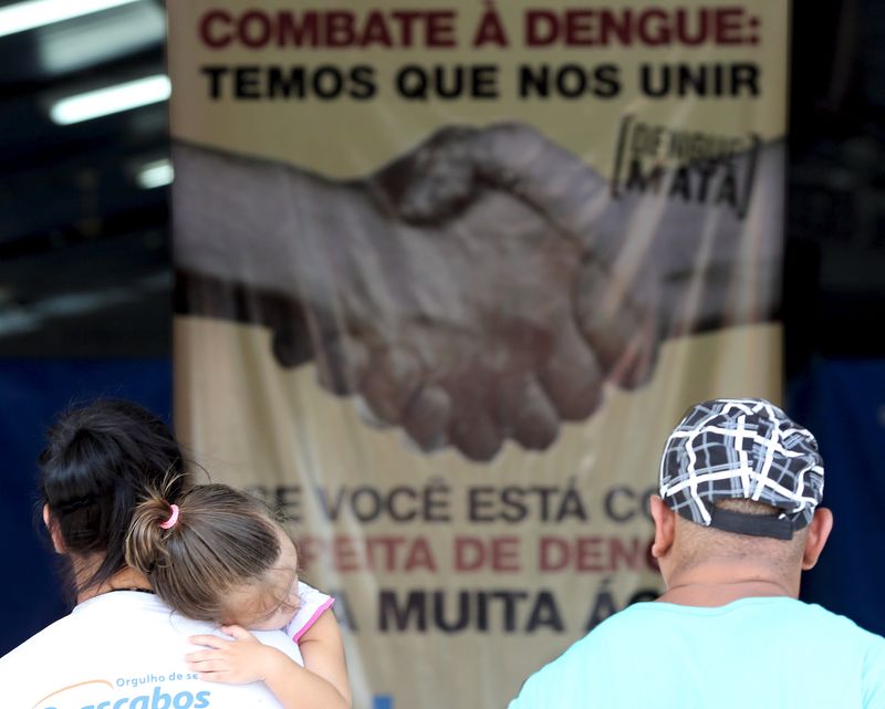© Reuters. El brote de dengue en Brasil, duro reto para Rousseff