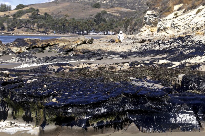 © Reuters. نفوق حيوان أسد البحر بعد تعرضه لآثار التسرب النفطي بكاليفورنيا