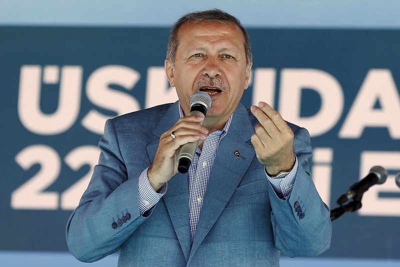 © Reuters. إردوغان يهدف لتحويل تركيا إلى مركز رئيسي لصناعة السلاح