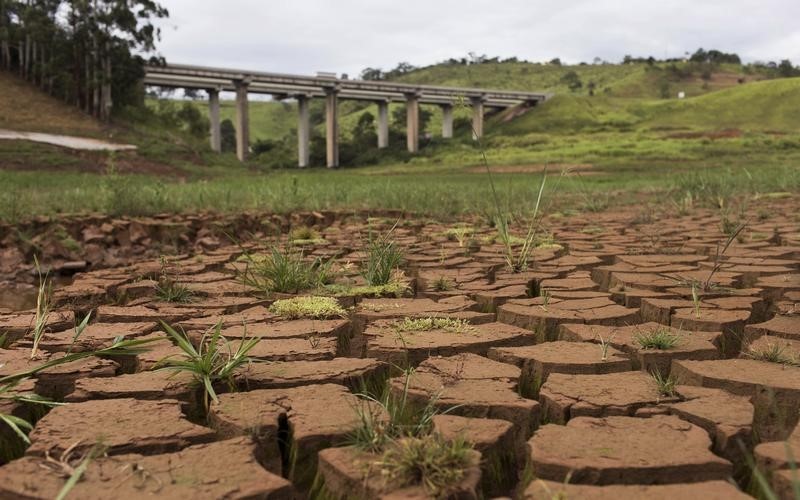 © Reuters. توقعات بجفاف في شمال البرازيل وأمطار في الجنوب بسبب النينيو