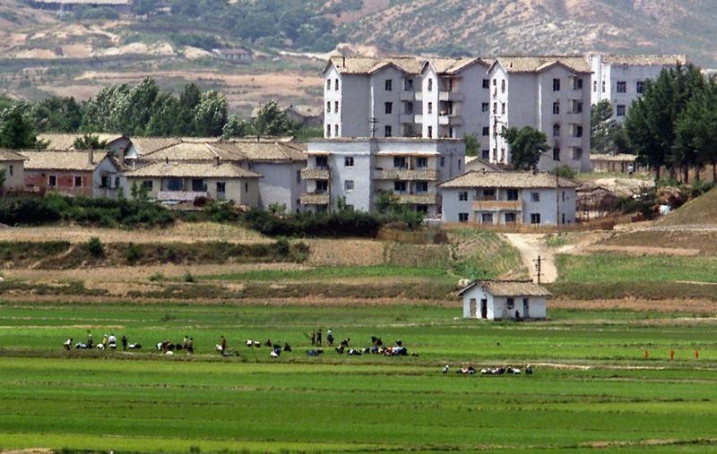 © Reuters. كوريا الشمالية قادرة على تحاشي أزمة غذائية رغم الجفاف