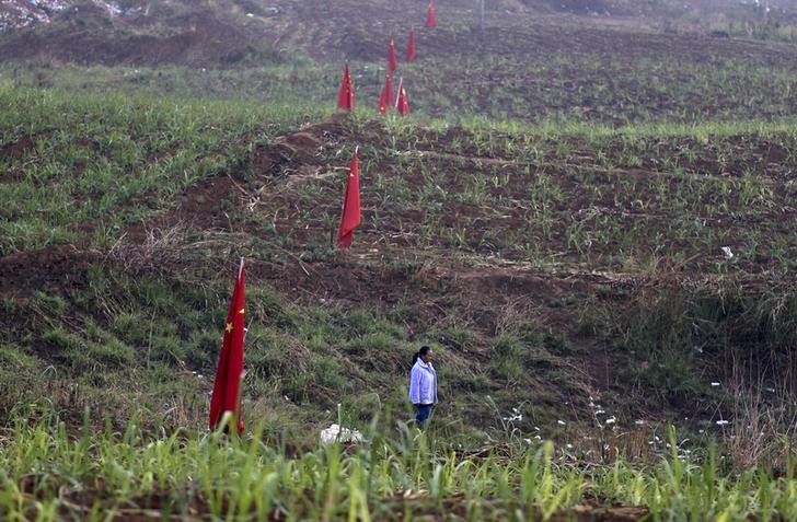 © Reuters. A woman walks past Chinese national flags at a crop field in Kokang, near Myanmar's border with China