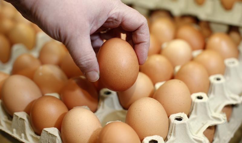 © Reuters. An employee of an organic supermarket poses for the photographer with an egg from an organic farm in Berlin