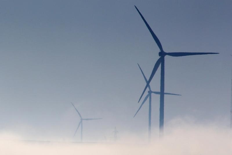 © Reuters. Nuevo fondo de la ONU para el clima tomará riesgos para promover tecnología verde