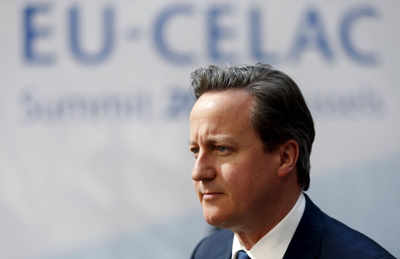 © Reuters. ثلث اعضاء حزب كاميرون ينضمون لحملة لإخراج بريطانيا من الاتحاد الاوروبي