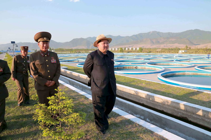 © Reuters. Líder da Coreia do Norte, Kim Jong Un, visita fazenda de salmão em unidade do Exército, em foto de divulgação sem data