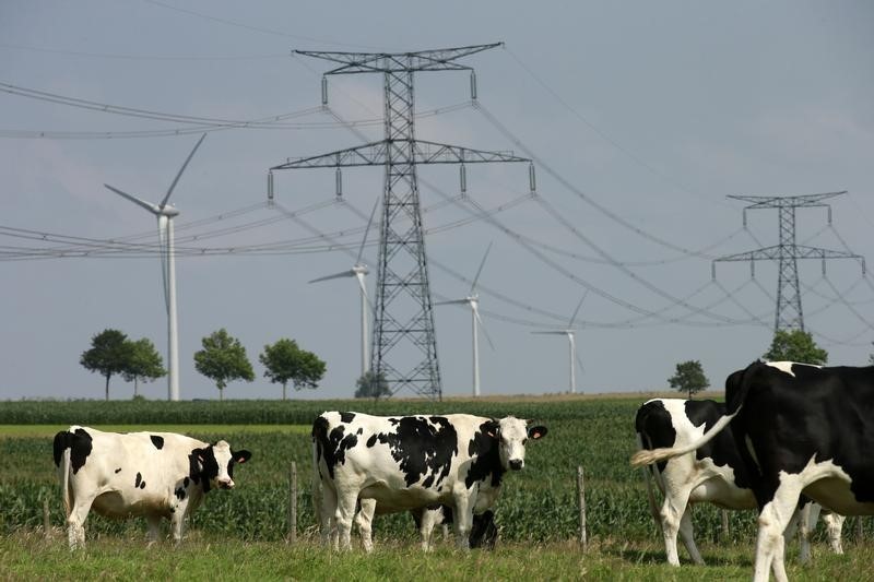 © Reuters. LA FILIÈRE BOVINE S'ENGAGE À REVALORISER LES PRIX