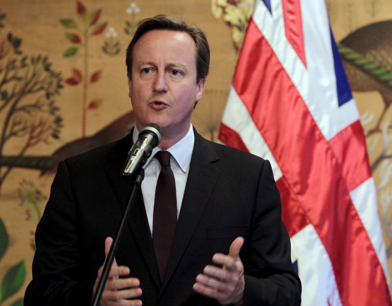 © Reuters.  British Prime Minister David Cameron speaks at a news conference during his visit in Brdo pri Kranju