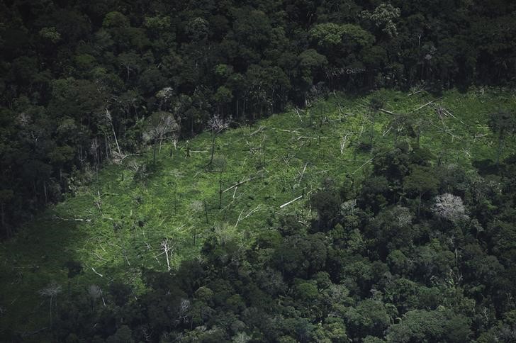 © Reuters. Área desmatada dentro do território indígena Ashaninka no Acre