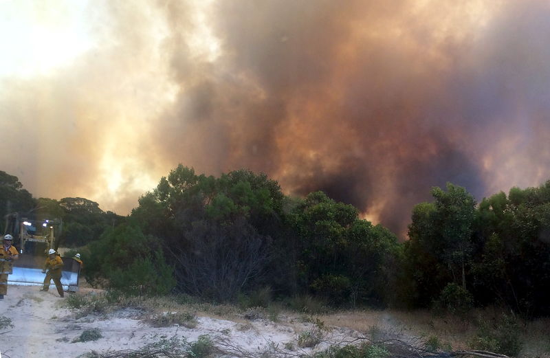 © Reuters. مقتل شخصين ونفوق آلاف الحيوانات في حريق غابات في استراليا
