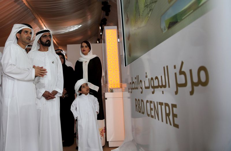 © Reuters. الحكومة: دبي تعتزم انفاق مليارات الدولارات على الطاقة النظيفة