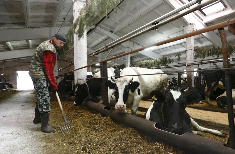 © Reuters. Rusia prohibirá las importaciones agrícolas de Turquía